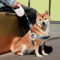 HKM-189459 Retractable Pet Leash with Safe Control - Available in 3m, 5m, 8m Lengths