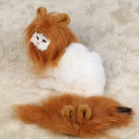 HKM-189651 Lion Mane Wig Costume for Small Dogs and Cats – Festive Headwear for Halloween and Parties