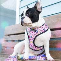 HKM-193299 Adjustable Polyester Chest Strap for Enhanced Comfort and Support