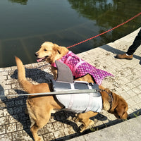 HKM-193427 Shark Mermaid Design Pet Life Jacket - Rose Red & Silver Gray, Sizes XS to XL