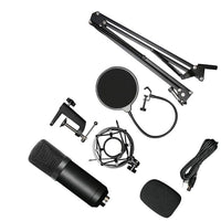 HKM-194963 BM-700 Condenser Microphone for Instruments, Recording, and Conferencing - Black Metal Finish