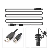 HKM-194963 BM-700 Condenser Microphone for Instruments, Recording, and Conferencing - Black Metal Finish