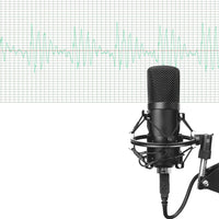 HKM-194963 BM-700 Condenser Microphone for Instruments, Recording, and Conferencing - Black Metal Finish