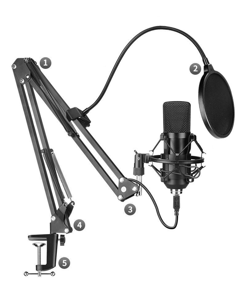 KTX-194963 BM-700 Condenser Microphone for Instruments, Recording, and Conferencing - Black Metal Finish