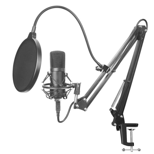 KTX-194963 BM-700 Condenser Microphone for Instruments, Recording, and Conferencing - Black Metal Finish
