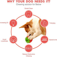 HKM-195283 Durable Strawberry Dog Chew Toy for Aggressive Chewers with IQ Training Features