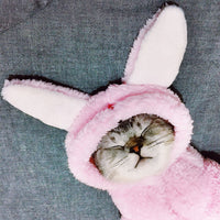 HKM-199507 Cute Cotton Cat Clothes for Kittens - Funny Styles in Pink Rabbit, Brown Bear, Tsundere Mini, and Angel Wings