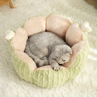 HKM-199635 Large and Small Soft Cactus Cat Litter Kennel in Purple Green, All-Season Comfort