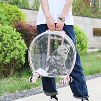 HKM-201043 Portable Transparent Cat Trolley Bag for Travel - Reinforced PC/Aluminum Alloy, 50x45x25CM, Hard Case