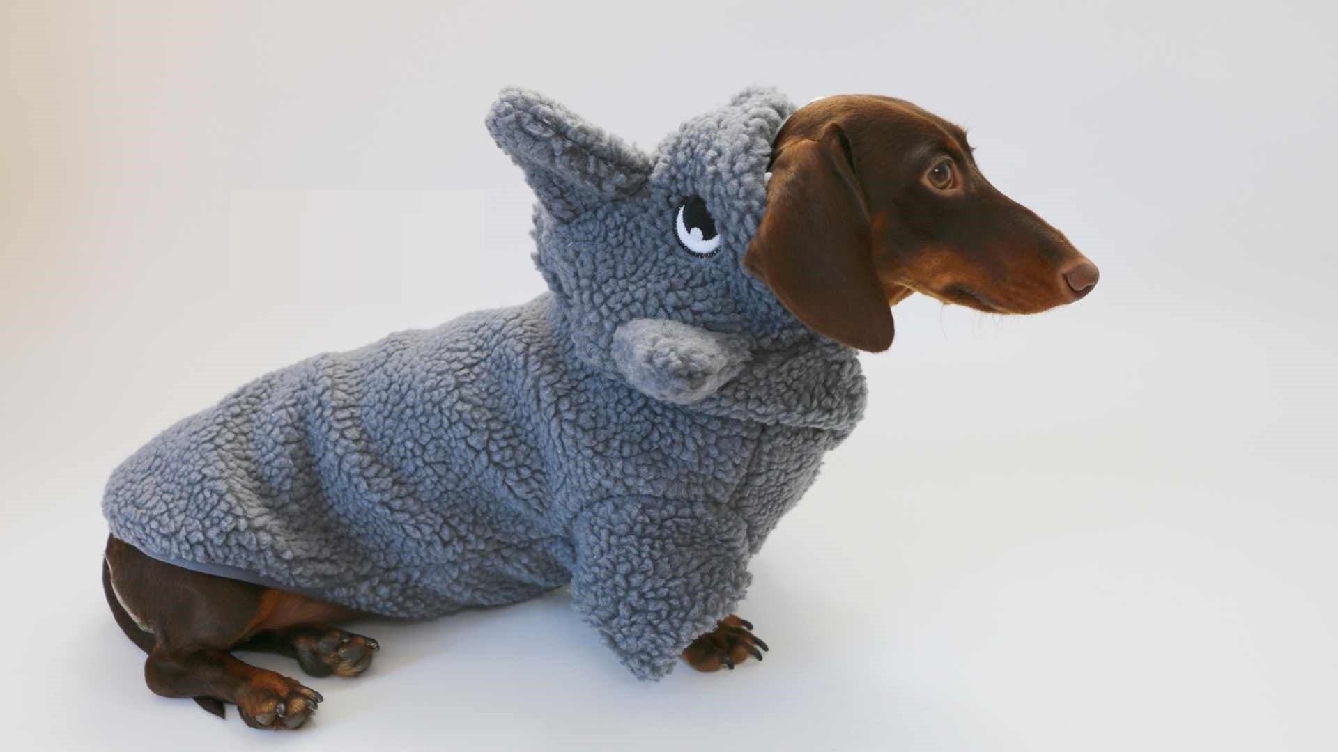 HKM-202579 Winter Warm Fleece-Lined Hooded Shark Sweater for Dogs and Cats