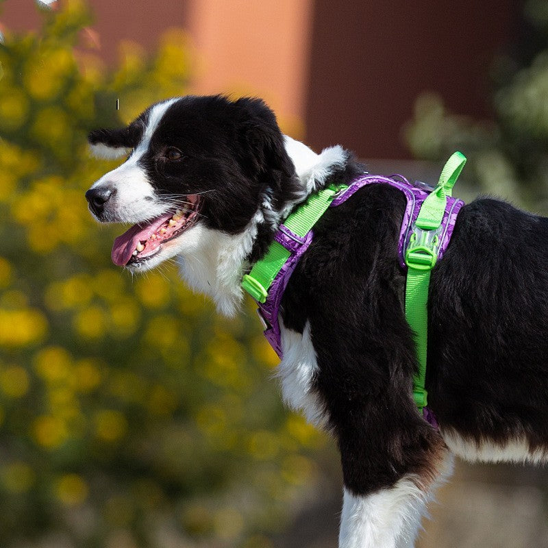 HKM-203667 Camouflage Pet Dog Chest Strap with Holding Rope - Nylon, Reflective, Multiple Sizes