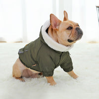 HKM-203987 Casual Flanneled Cotton-Padded Clothing for Medium Size Corgis in Military Green, Military Red, and More