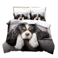 HKM-204627 Coral Fleece Bedding Set for Pets - Multiple Sizes and Three-Piece Options