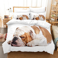 HKM-204627 Coral Fleece Bedding Set for Pets - Multiple Sizes and Three-Piece Options