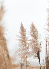 HKM-206611 Nordic Style Golden Reed Micro-Spray Decorative Canvas Art for Living Room and Dining Room