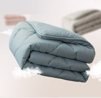 HKM-208083 Embroidered Skin-Friendly Down Velvet Duvet with Polyester Filling