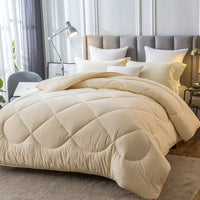 HKM-208083 Embroidered Skin-Friendly Down Velvet Duvet with Polyester Filling