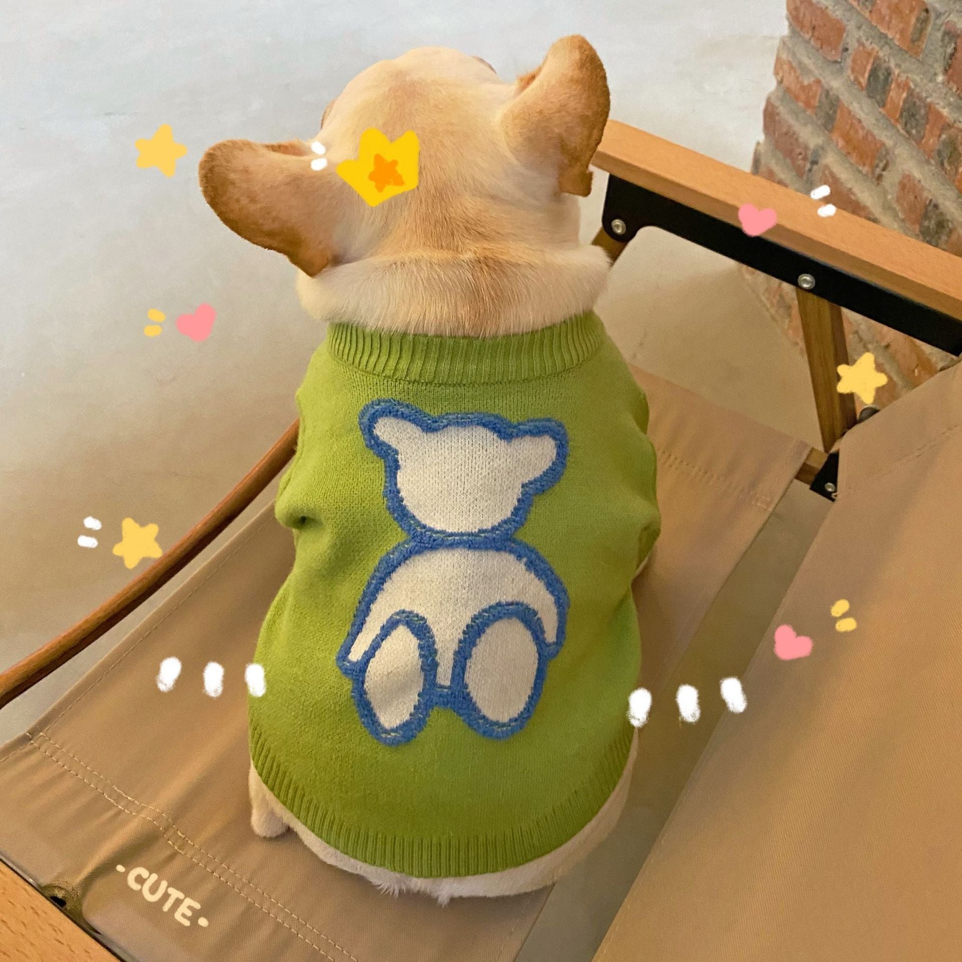HKM-209491 Cozy Wool Sweater for Dogs and Cats - Fall and Winter Pet Apparel in Green