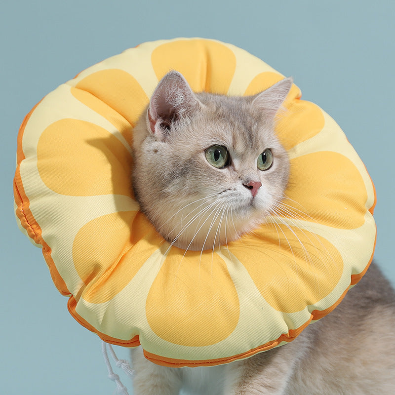 HKM-210771 Cat Lick And Bite Elizabeth Ring Headgear