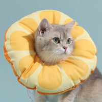 HKM-210771 Cat Lick And Bite Elizabeth Ring Headgear