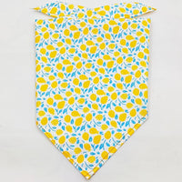HKM-213075 Fruit Green Leaf Cotton Pet Scarf and Drool Towel for Dogs and Cats - Small and Large Sizes Available