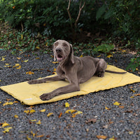 HKM-214547 Waterproof Foldable Dog Mattress in Yellow, Green, Brown, and Blue