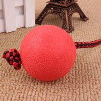 HKM-215123 Bite resistant rubber ball with rope solid elastic