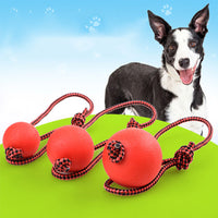 HKM-215123 Bite resistant rubber ball with rope solid elastic
