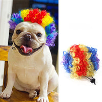 HKM-216339 Halloween and Christmas Pet Hair Accessories Wig - Various Styles in Black, Red, Brown, Clown Design
