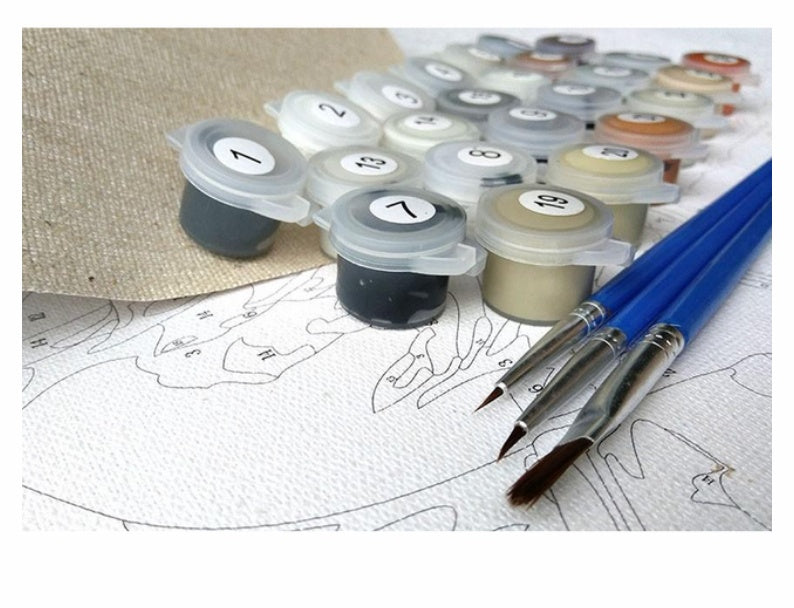HKM-218963 DIY Painting By Numbers Kit - Linen Canvas with Brush, Paint, and Hook Included