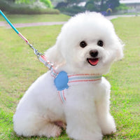 HKM-220627 Breathable Summer Dog Leash and Chest Vest for Small to Medium Breeds