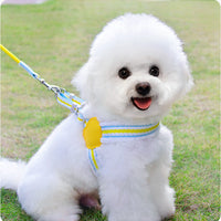 HKM-220627 Breathable Summer Dog Leash and Chest Vest for Small to Medium Breeds