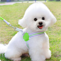 HKM-220627 Breathable Summer Dog Leash and Chest Vest for Small to Medium Breeds