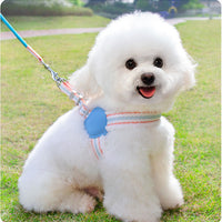 HKM-220627 Breathable Summer Dog Leash and Chest Vest for Small to Medium Breeds