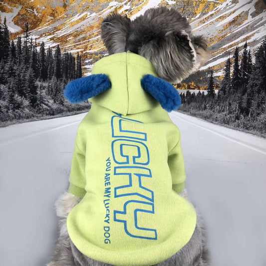 HKM-221523 Cozy Cotton Cat Sweater in Fruit Green, Blue, and Purple - Multiple Sizes Available