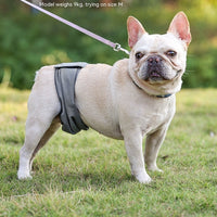 HKM-222099 Men's Graphene Anti-Harassment Dog Diaper Bellyband for Comfortable Wear