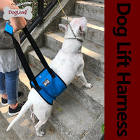 HKM-222611 Dog Leg Injury Protection Walking Belt - Adjustable Oxford & Mesh Fabric, Available in Blue and Gray, Sizes S-XL