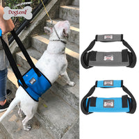HKM-222611 Dog Leg Injury Protection Walking Belt - Adjustable Oxford & Mesh Fabric, Available in Blue and Gray, Sizes S-XL