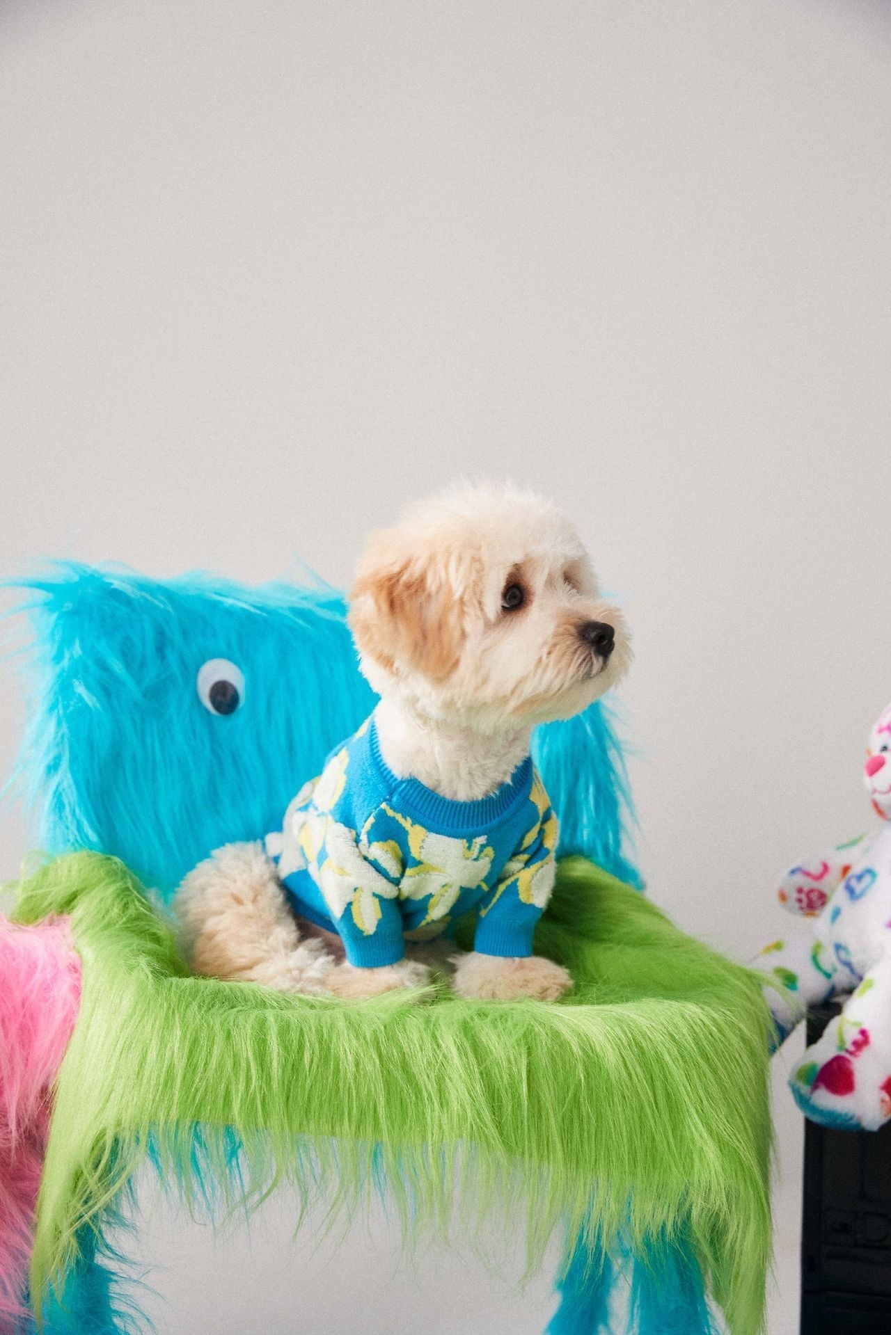 HKM-222995 Warm Woolen Pet Sweater for Dogs and Cats - Two-Legged Teddy Bear Style, Blue, Sizes S-XXL