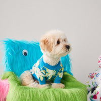 HKM-222995 Warm Woolen Pet Sweater for Dogs and Cats - Two-Legged Teddy Bear Style, Blue, Sizes S-XXL