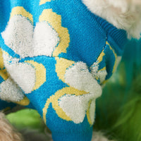 HKM-222995 Warm Woolen Pet Sweater for Dogs and Cats - Two-Legged Teddy Bear Style, Blue, Sizes S-XXL