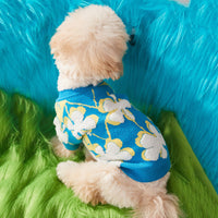 HKM-222995 Warm Woolen Pet Sweater for Dogs and Cats - Two-Legged Teddy Bear Style, Blue, Sizes S-XXL