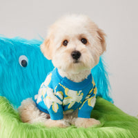 HKM-222995 Warm Woolen Pet Sweater for Dogs and Cats - Two-Legged Teddy Bear Style, Blue, Sizes S-XXL