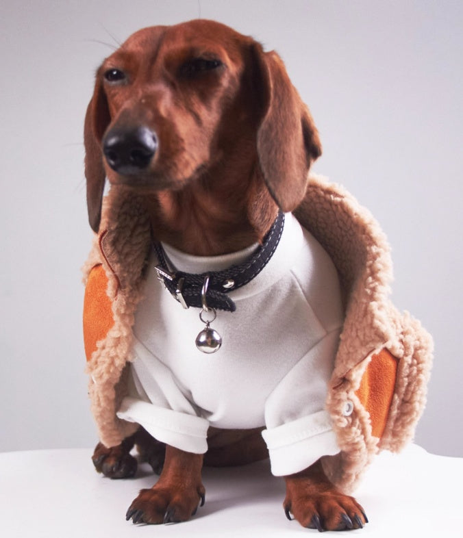 HKM-223891 Casual Winter Cat and Dog Clothes for Daily Wear and Photos