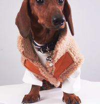 HKM-223891 Casual Winter Cat and Dog Clothes for Daily Wear and Photos