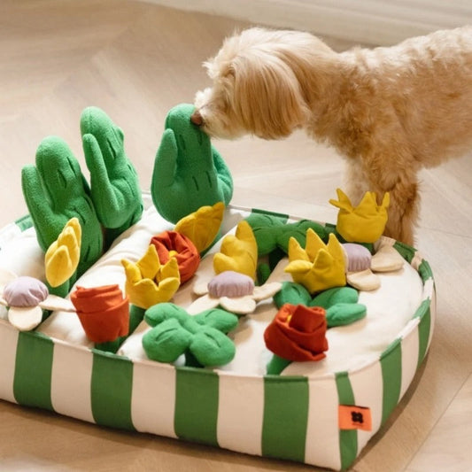 HKM-224019 Interactive Music Garden Pet Dog Toy with Hidden Food Features, Soft Velvet & Polar Fleece Design