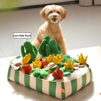 HKM-224019 Interactive Music Garden Pet Dog Toy with Hidden Food Features, Soft Velvet & Polar Fleece Design
