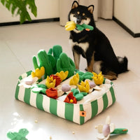 HKM-224019 Interactive Music Garden Pet Dog Toy with Hidden Food Features, Soft Velvet & Polar Fleece Design