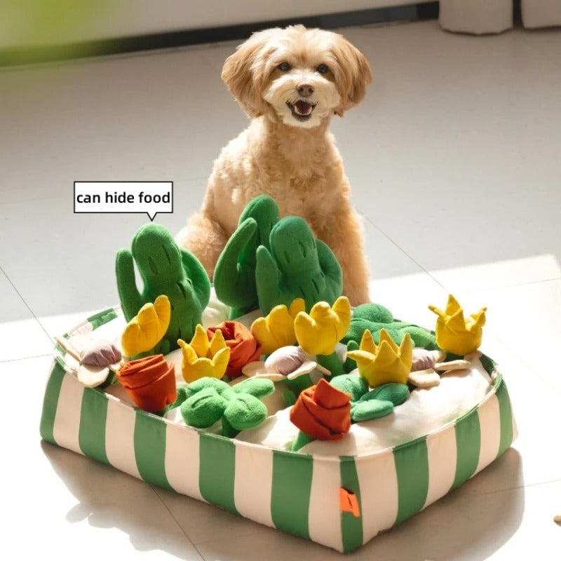 HKM-224019 Interactive Music Garden Pet Dog Toy with Hidden Food Features, Soft Velvet & Polar Fleece Design