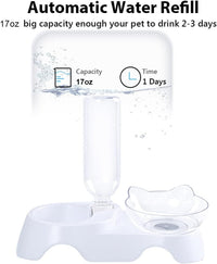 HKM-225555 Tilted Pet Feeding Station with Automatic Water Dispenser for Cats and Small Dogs